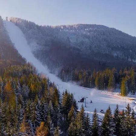 Appartement Apartament Sudety